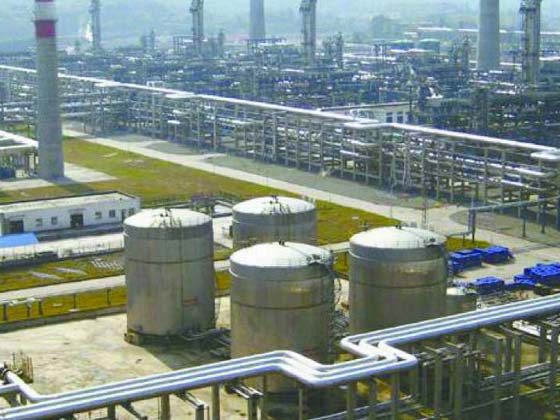 ���������ȵ�