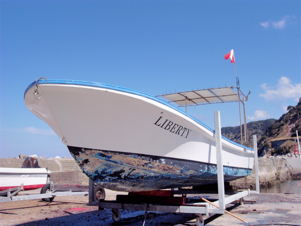 ���ܼ���������Ϳ��