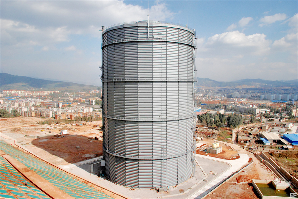 ȼ����������׷���