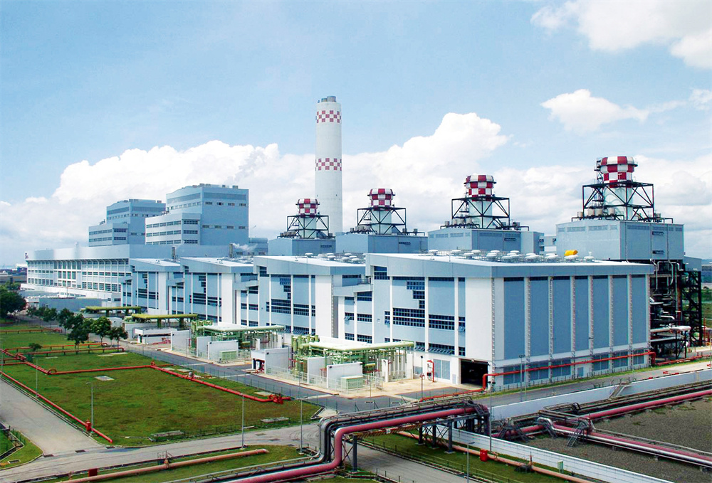 �糧�������׷���