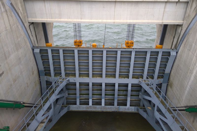 �Ȼǻ�����ϩ����